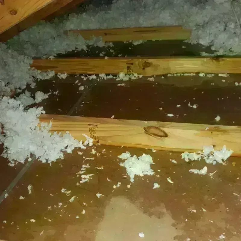 Attic Water Damage in Jackson County, WV