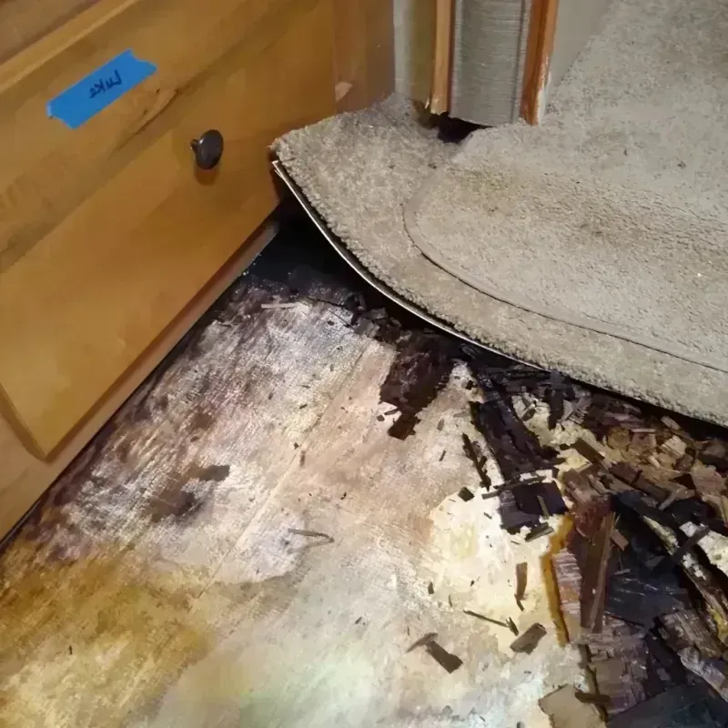 Wood Floor Water Damage in Jackson County, WV